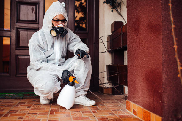 Reliable Cockroach Control contractor in Camilla, GA by Nex Pest Control